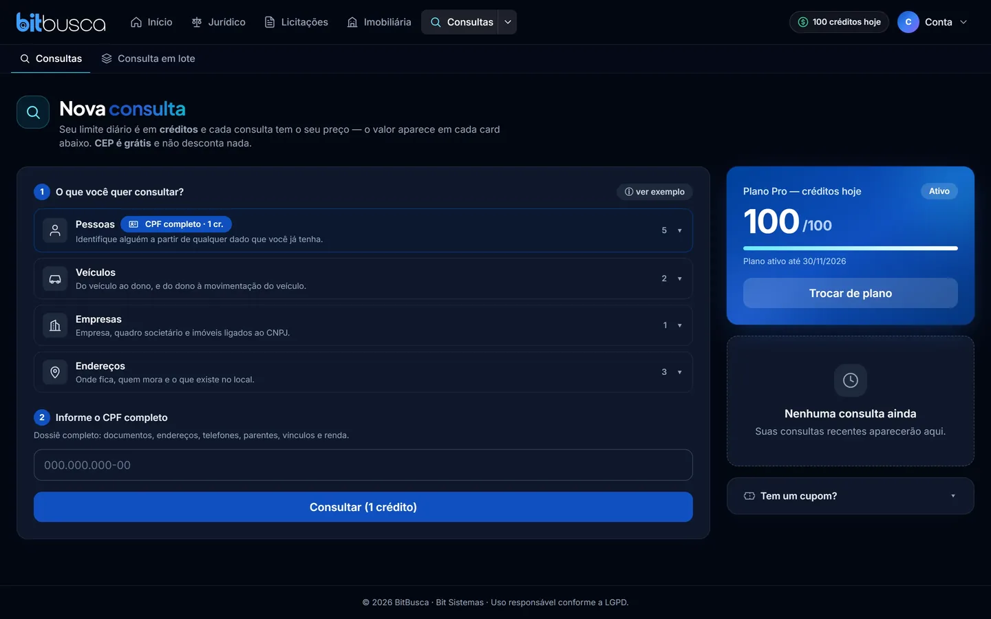 Painel de consultas da BitBusca com o catálogo de consultas e o histórico